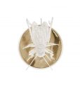 Filigree Cricket Wall Lamp by Boca do Lobo Covet Lighting